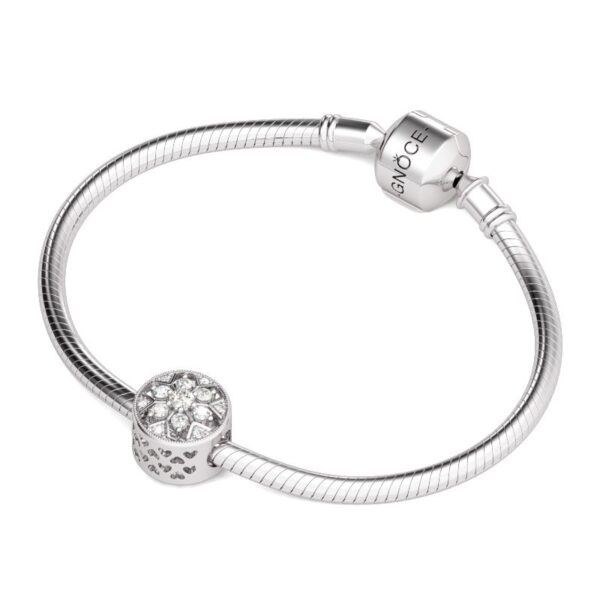 238b2babf10c5aics09-4jpg