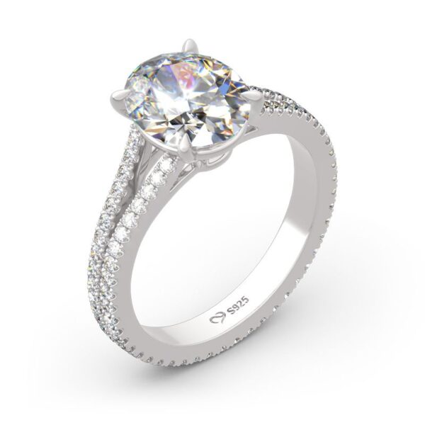 2c5bbca1010c50003jpg