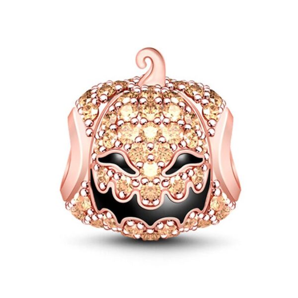 4ad5ab52e50c5BSCS09-1jpg