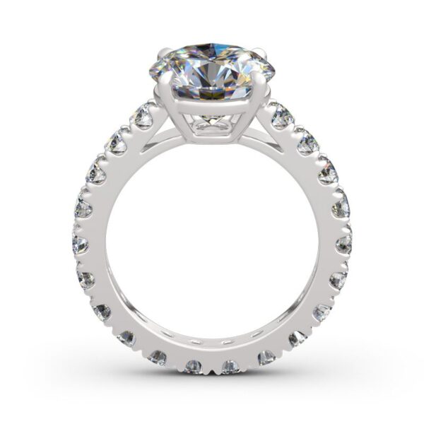 5136df11010c50002jpg