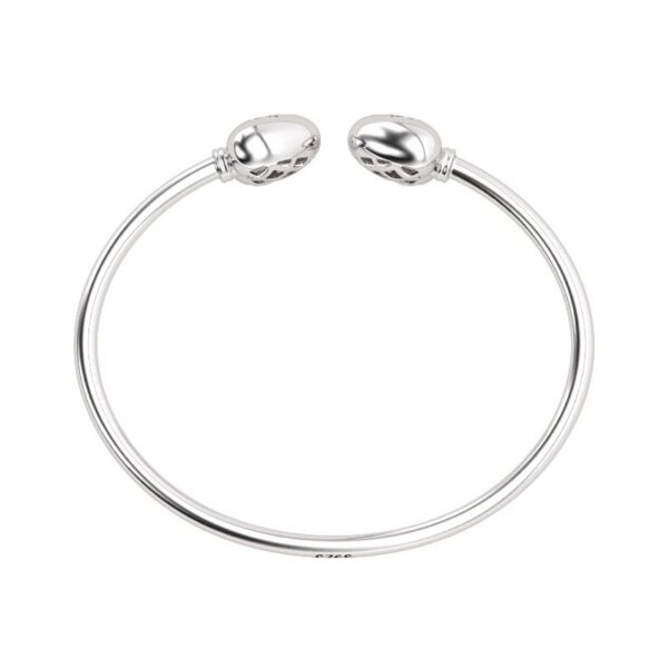 5707217165eb5AJBT753jpg