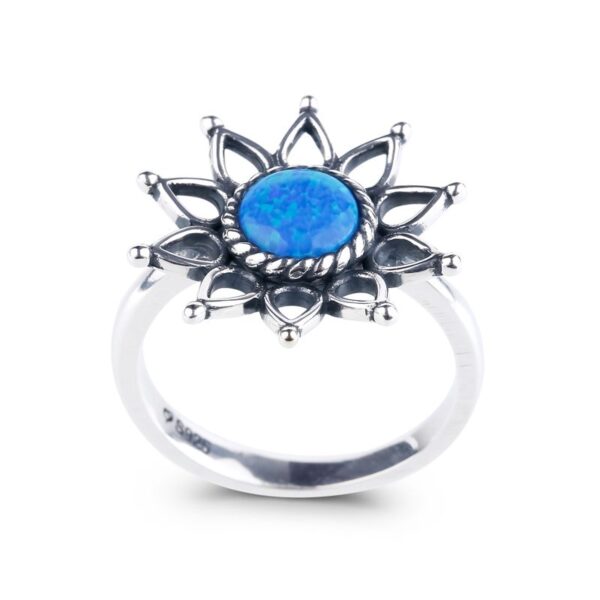 67e88d38b3fb5JEDM002131jpg 67e88d38b3fb5JEDM002131jpg