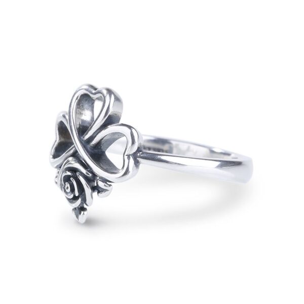 8890c78db3fb5JESE0003211jpg-2