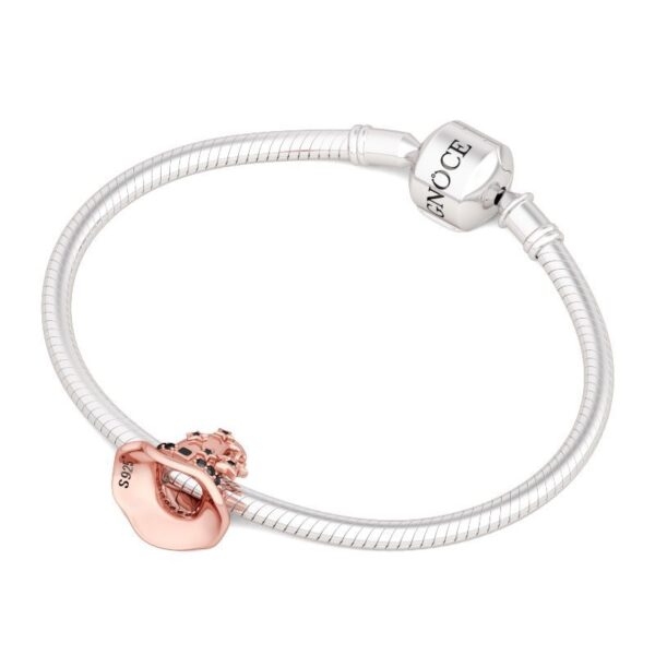 8ab41cc2a40c5b1bbe50f244b5BSCS10-3jpgjpg