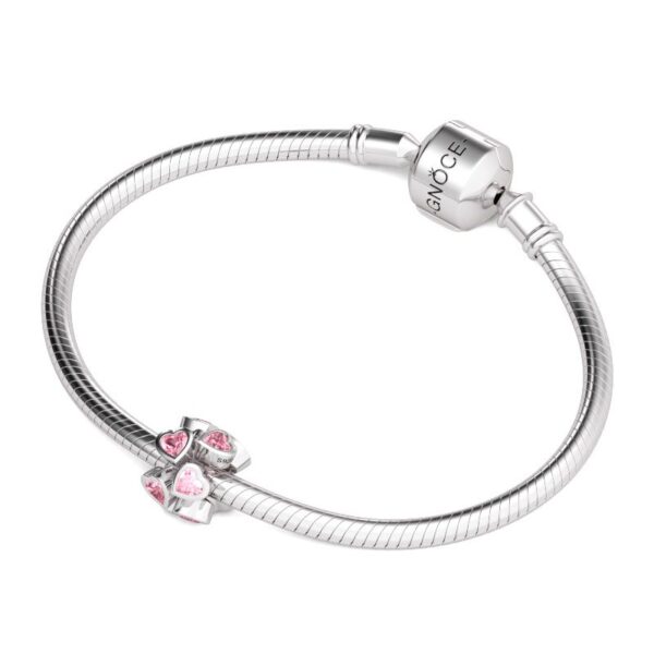 8f3f3d72f10c5ajcs20-4jpg