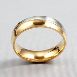 Two Tone Titanium Steel Men's Band