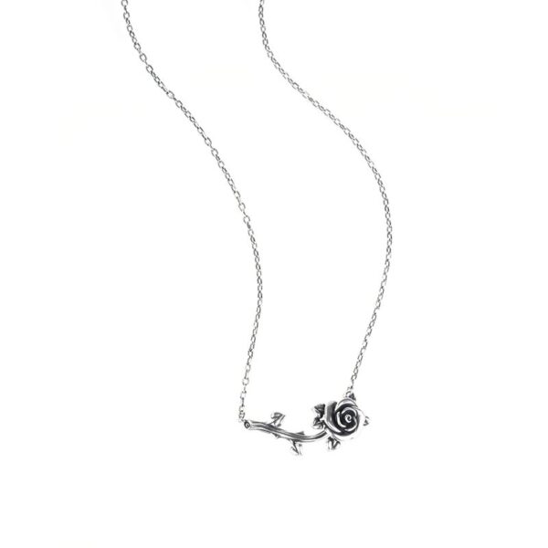 JESE0005_JESE0005111jpg