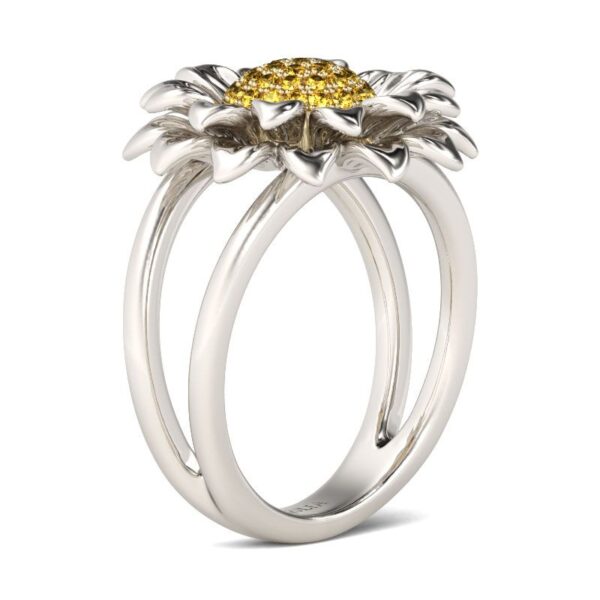 a922ed1475fb5JERC00293jpg