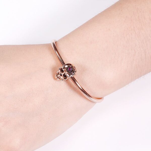 cf495591e50c5CGC0225jpg