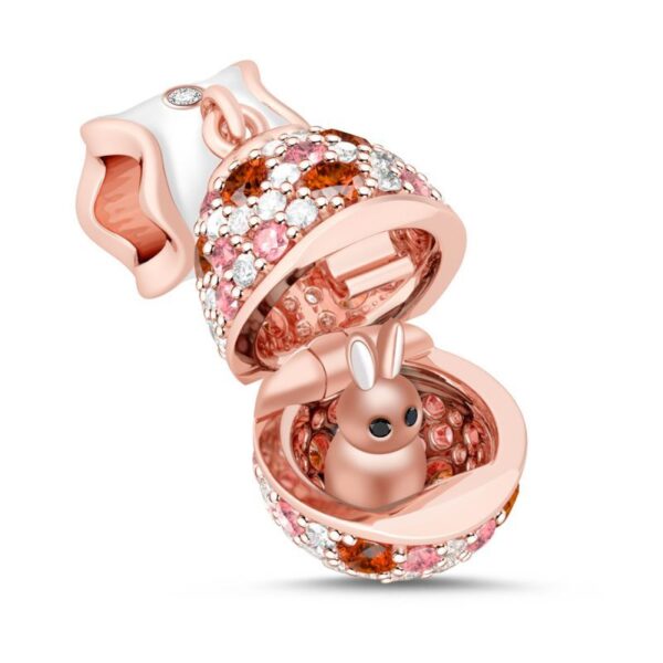 e8fe44edd50c5BSCS83jpg