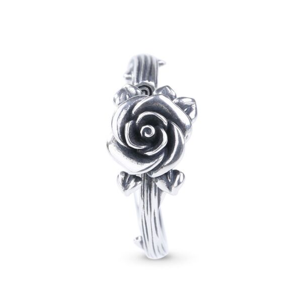 f72f51fbb3fb5JESE0008311jpg